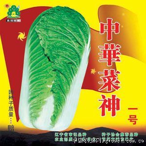供应中华菜神一号——白菜种子