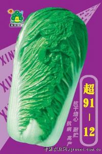 供应超91-12紫——白菜种子