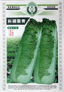 供应科硕翠青—白菜种子