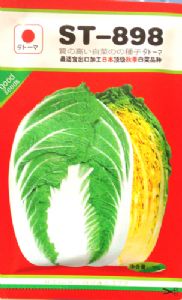供应ST-898-白菜种子