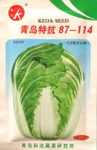 供应青岛特抗87-114-白菜种子