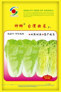 供应神狮台湾快菜—白菜种子