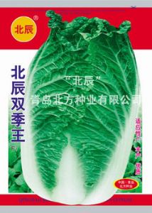 供应北辰双季王—白菜种子