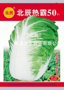 供应北辰热霸50—白菜种子