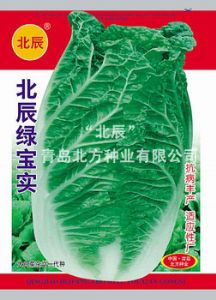 供应北辰绿宝实—白菜种子