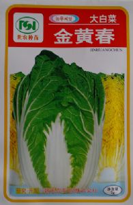 供应金黄春-白菜种子