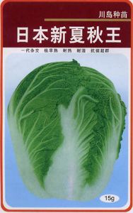 供应日本新夏秋王—进口白菜种子
