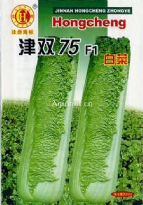 供应津双75白菜—白菜种子