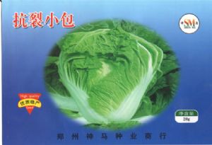 供应抗裂小包—白菜种子