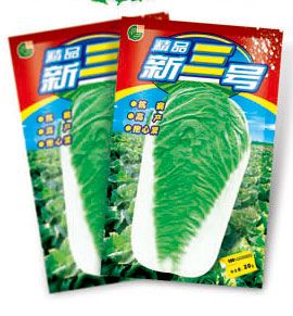新三号白菜——白菜种子