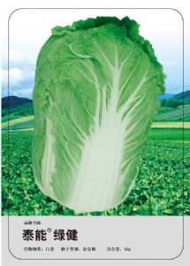 供应泰能绿健—白菜种子