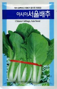 供应青绿早熟小白菜—白菜种子