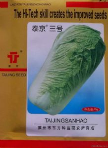 供应泰京三号—白菜种子