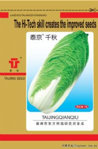供应泰京千秋—白菜种子