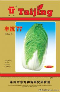 供应丰抗77—白菜种子
