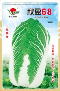 供应秋盈68——白菜种子
