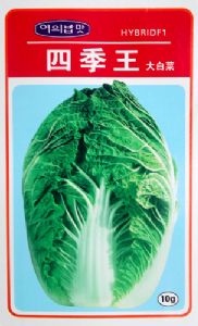 供应四季王-白菜种子