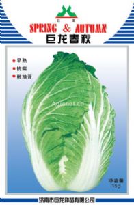 供应巨龙春秋王—白菜种子