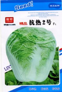 供应精品抗热2号—白菜种子