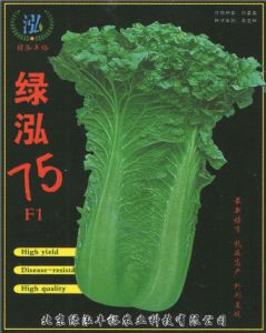 供应绿泓75F1—白菜种子