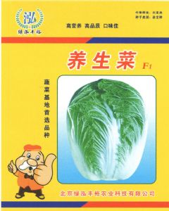 供应养生菜F1—白菜种子