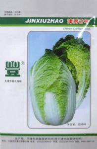供应津秀2号—白菜种子