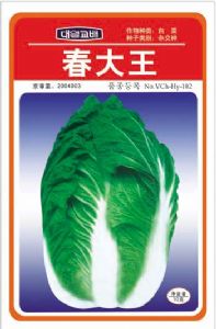供应春大王—白菜种子