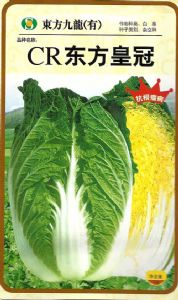 供应东方皇冠－白菜种子