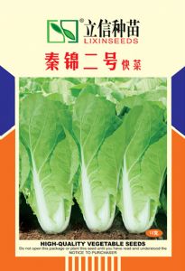 供应秦锦二号快菜-白菜种子