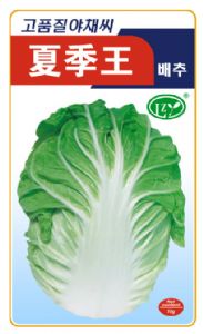 供应夏季王-白菜种子