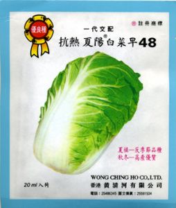 供应白菜种子——夏阳白菜早48