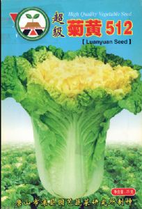 供应超级菊黄512—白菜种子