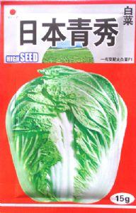 供应日本青秀-白菜种子