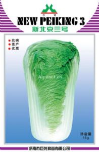 供应新北京三号—白菜种子