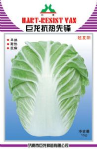 供应巨龙抗热先锋—白菜种子