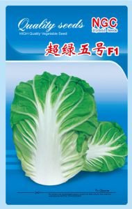 供应超绿五号F1—白菜种子
