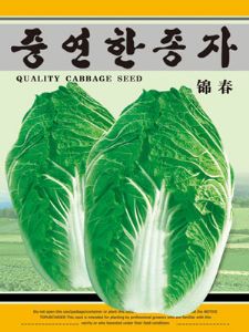 锦春——白菜种子