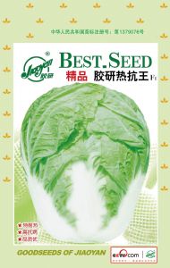 供应精品胶研热抗王F1—白菜种子