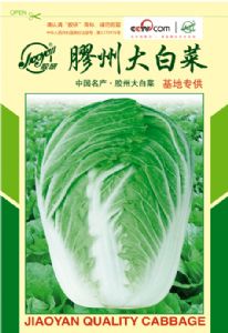 供应膠州大白菜—白菜种子