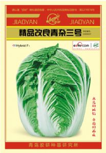供应精品改良青杂三号—白菜种子