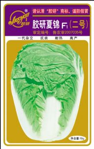 供应胶研夏锦F1（二号）—白菜种子