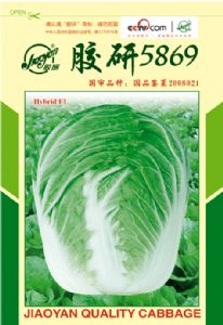 供应胶研5869—白菜种子