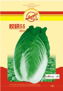 供应胶研55—白菜种子