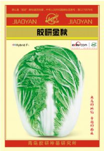供应胶研金秋—白菜种子
