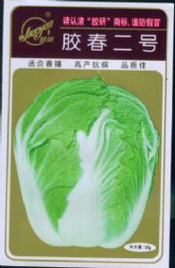 供应胶春二号—白菜种子