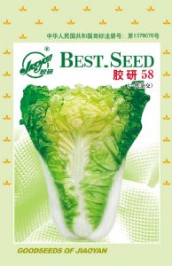 供应胶研58—白菜种子