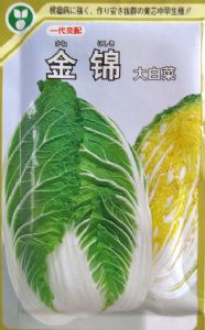 供应金锦-白菜种子