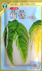 供应梅锦-白菜种子