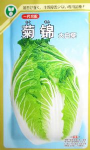 供应菊锦-白菜种子
