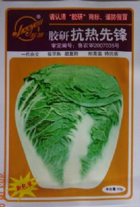 供应抗热先锋—白菜种子